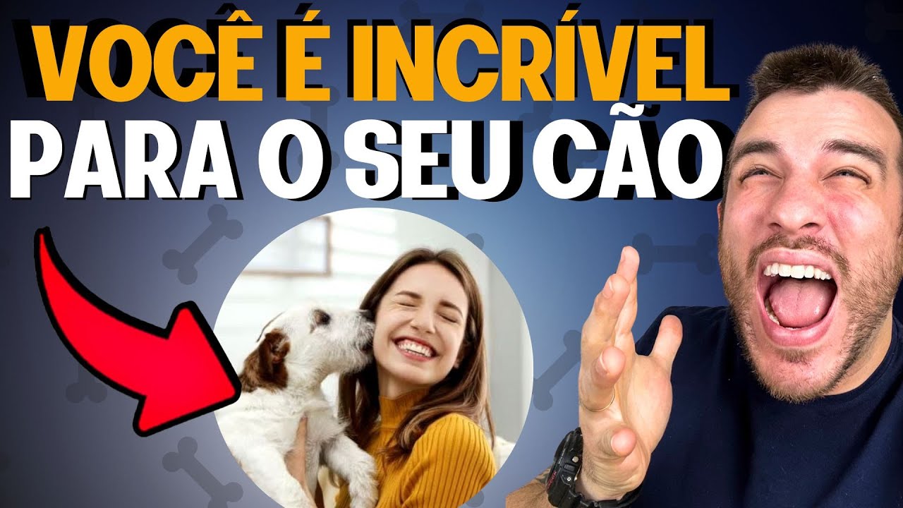 5 SINAIS QUE VOCÊ É UMA BOA DONA PRO SEU CACHORRO
