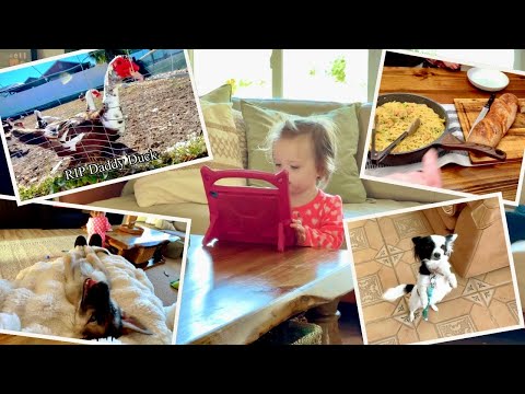 Spaß im Tierladen & ein unerwarteter Abschied 💔 | Familienvlog