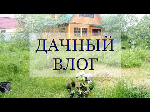 Неделя Подарков! / Elena Pero