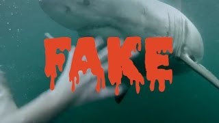 GoPro: *FAKE* Man Fights Off Great White Shark In Sydney Harbour