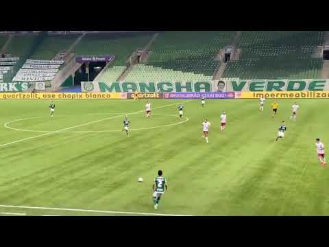 GOL CONTRA MANOEL | PALMEIRAS 1X0 FLUMINENSE | BRASILEIRÃO 2021