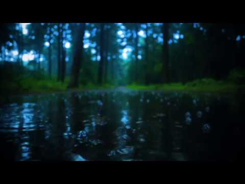 Solistas - Lashai (doesitmatter prod)