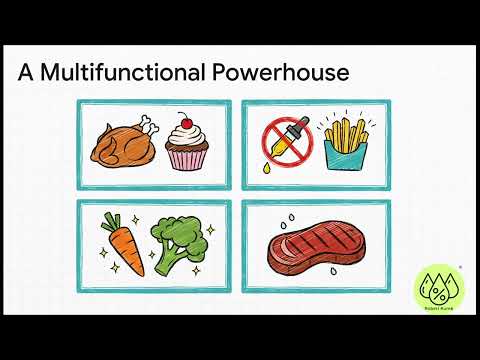 Energy Efficient Cooking The Ultimate Guide to Halogen Cookers