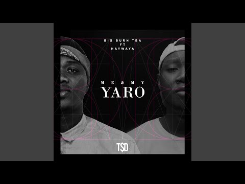 Me and My Yaro (feat. Haywaya)