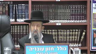 הרב בן ציון מוצפי • שידור חי מושב בן זכאי • כולל 'חזון עובדיה' (בית הכנסת מוסאיוף) - התמונה מוצגת ישירות מתוך אתר האינטרנט יוטיוב. זכויות היוצרים בתמונה שייכות ליוצרה. קישור קרדיט למקור התוכן נמצא בתוך דף הסרטון הרב בן ציון מוצפי • שידור חי מושב בן זכאי • כולל 'חזון עובדיה' (בית הכנסת מוסאיוף) - התמונה מוצגת ישירות מתוך אתר האינטרנט יוטיוב. זכויות היוצרים בתמונה שייכות ליוצרה. קישור קרדיט למקור התוכן נמצא בתוך דף הסרטון