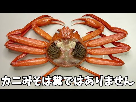 Cardisoma carnifexについて詳しく解説