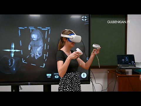 EMBO Practical Course 3D Developmental Imaging