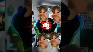 Download lagu DJ KICAU MANIA SLOW VIRAL TIKTOK FULL SONG MAMAN FVNDY 2026 mp3 Download lagu DJ KICAU MANIA SLOW VIRAL TIKTOK FULL SONG MAMAN FVNDY 2026 mp3