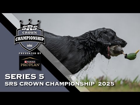 2025 SUPER RETRIEVER SERIES CROWN CHAMPIONSHIP - SERIES 5 FINALS