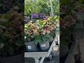 We Buy The Slabs Suisse Switzerland Travel Town Shop