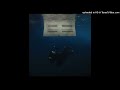 Billie Eilish BITTERSUITE X BLUE Transition