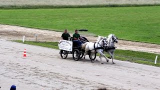 Spretnostna vožnja dvovpreg med ovirami in dirka dvovprege in štirivprege v kasu