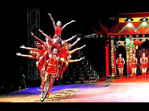 Circus. The show of girl gymnasts on bicycles.