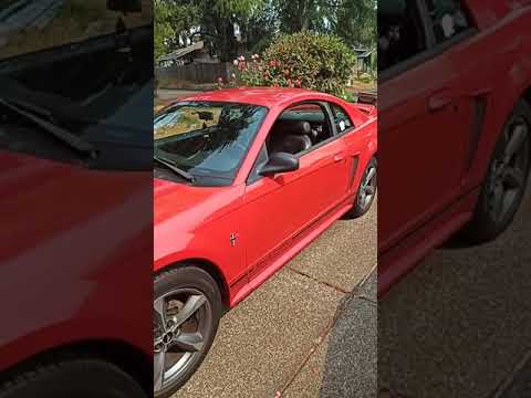 v6 mustangs aren't so bad!