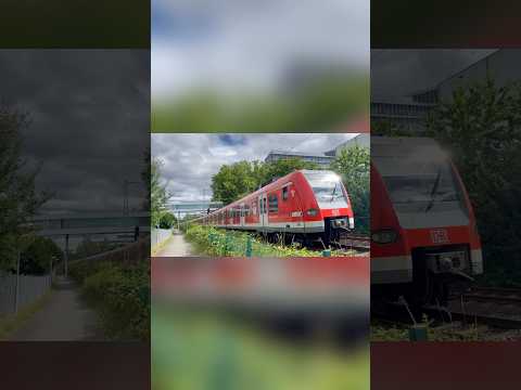 Baureihe 423 auf der S3 nach Bad Soden