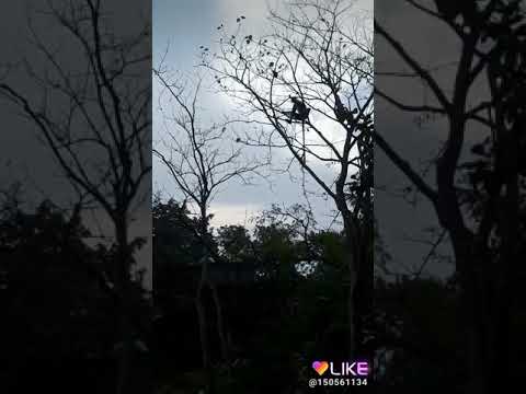 Rahamat Khan DJ sk technical boy who has