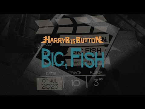 [M/V] Big Fish - HarryBigButton (해리빅버튼)