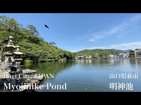 明神池（Myojinike Pond）山口県萩市（Hagi City,JAPAN）