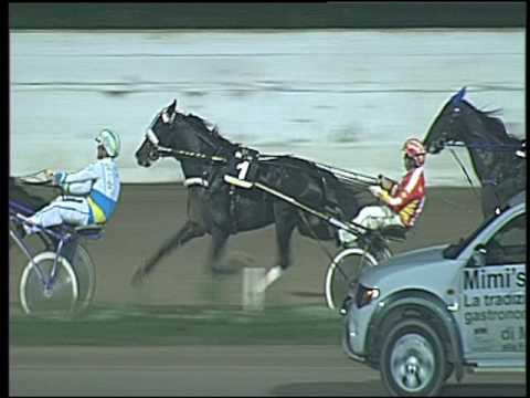 Trotto 21/10/2016 - 8ª corsa