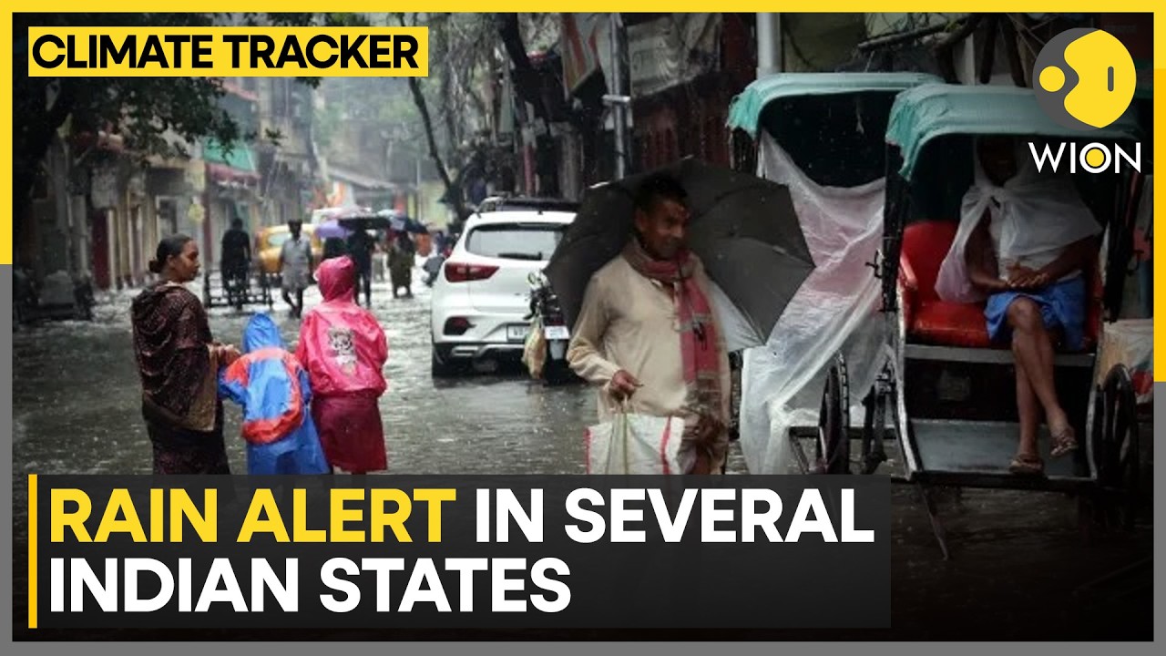 Indian Monsoon: IMD Sounds Heavy Rain Alert Across Indian Cities  | WION Climate Tracker