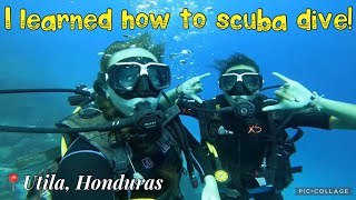 ~Part 1~ OPEN WATER SCUBA DIVE CERTIFICATION IN UTILA, HONDURAS
