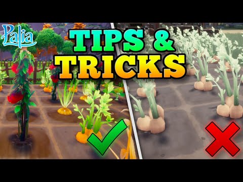 13 Beginner Palia Tips & Tricks That Wish I Knew Sooner!
