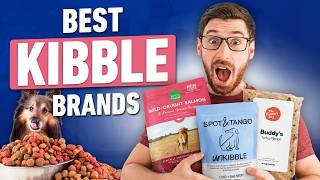 Best Kibble Brands | Healthy Options for Every Budget