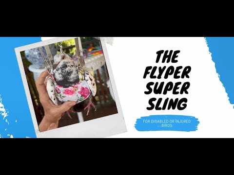 FLYPER SUPER SLING – Bev’s Bird Boutique  Support & Care for Birds