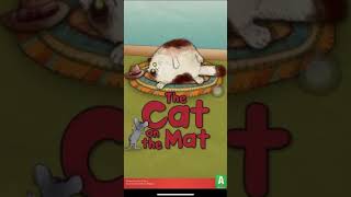 Story 30: The cat on the mat - Level 2