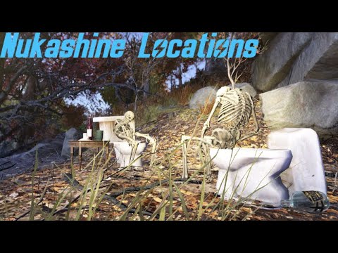 Nukashine (Possibly All Locations, Time Stamps) | Fallout 76 Exploration & Speculation