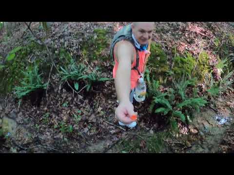 Play Video Youtube Video