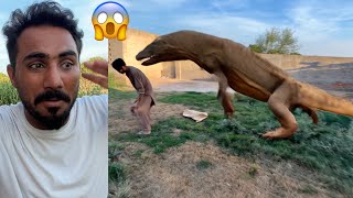 Talha Bhi Phr Big Lizard Na Hamla Kar Dia Hn 😱😱
