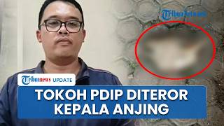 Jelang Idul Fitri, Pegiat Medsos serta Kader PDIP Palti Hutabarat Diteror Bangkai Kepala Anjing