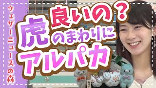 【檜山沙耶】可愛いですけど周りが・・・周りが・・・!?【ウェザ森】ウェザーニュースの森【切り抜き】