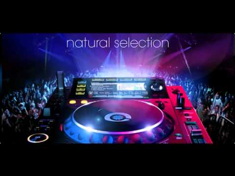 Rihanna & Gabriel Polina - S & M (Dj.Norby D Remix)