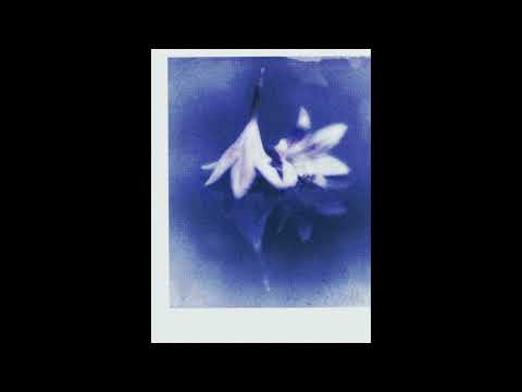 [FREE] 410 x hamza type beat ~ AUDEMARS (prod.DDAHNY)