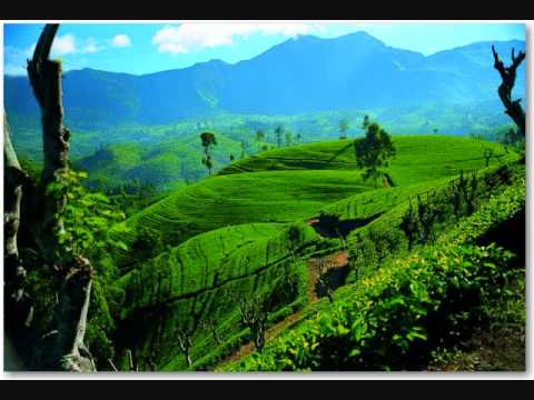 Lenka Filipová  - V šálku čaje na Srí Lanku