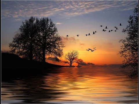 L'UNICA VIA recitata da ARNOLDO FOA'