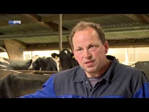 Melkveehouder denkt nog elke dag aan de MKZ crisis | RTV Oost