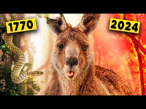 THE HISTORY OF AUSTRALIA