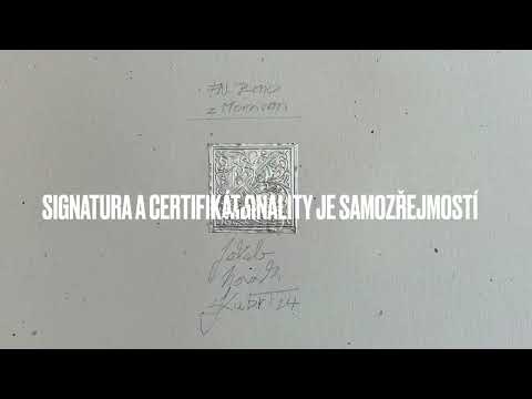 FN Brno / Jakub Novák Kubrt