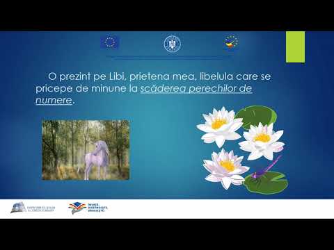 Scaderea numerelor naturale de la 0 la 100 cu trecere peste ordin