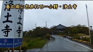 2020.04.17 春の雨に包まれて…小野・浄土寺