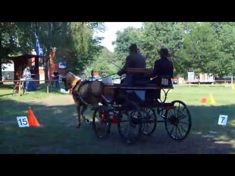 Fahrturnier Neu Versen 23.6.2019