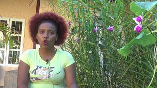 Iniciativas sociales para la transformación