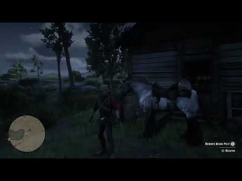 UFO SIGHTING ! Red Dead redemption 2