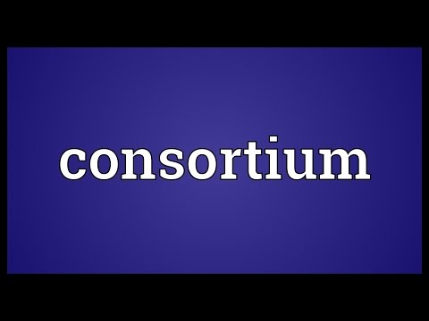 Consortium Meaning