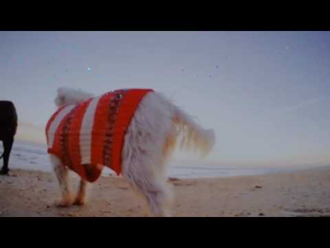 Flipagram - November 06, 2016