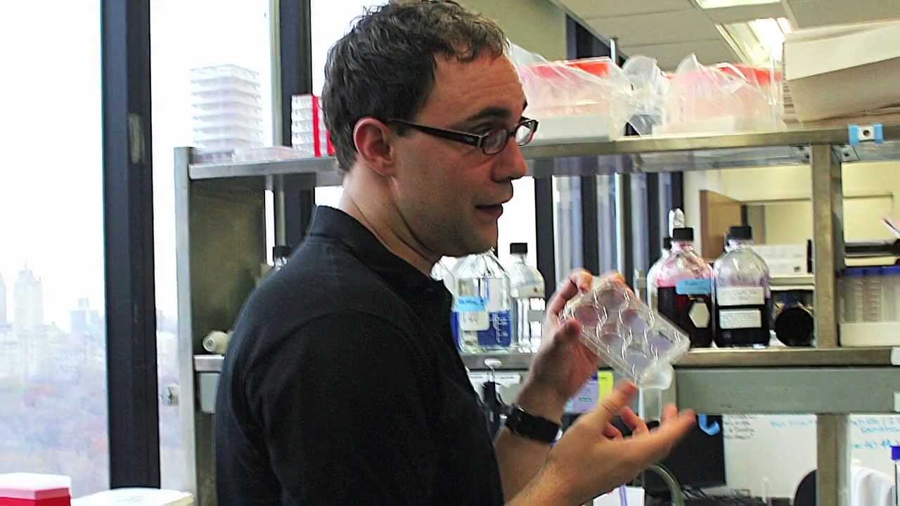 Dr. Benjamin tenOever: Profile of a Pew Scholar