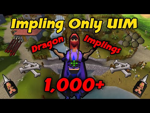 I Have Caught Over 1,000 Dragon Implings - Impling Only UIM (#34)